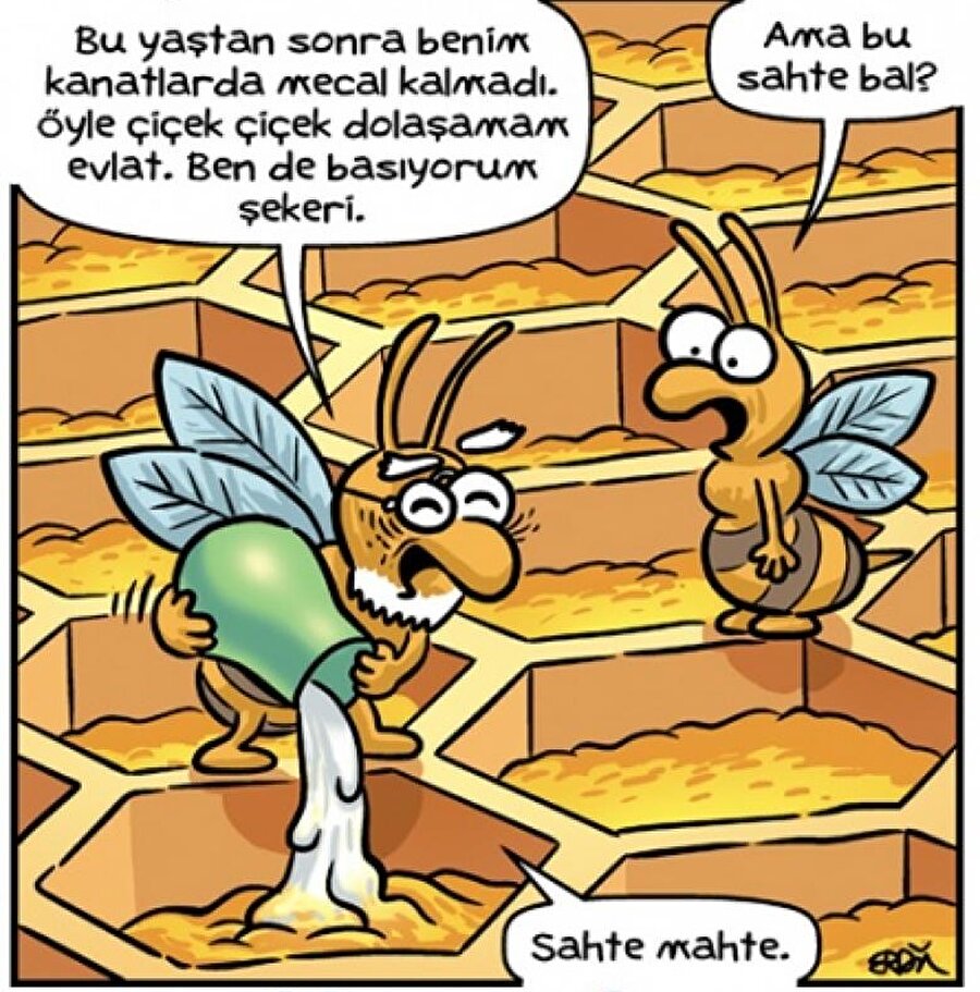 Sen sahtekarsın adi