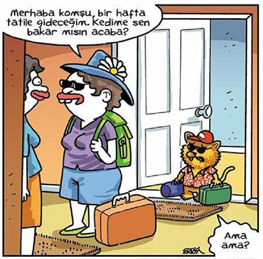 Bizi de böyle kandırdılar kedi dostum