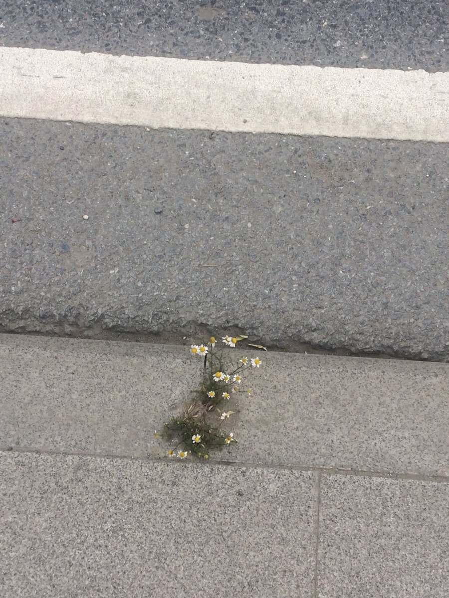 ​Tam her şey bitti derken...