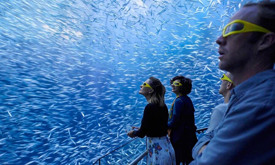 ​Yem vakti akvaryumda oluşan görsel şöleni izleyen ziyaretçiler
