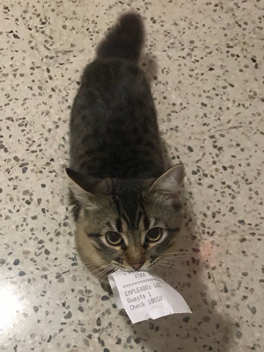 Biz kahve sipariş etmiştik ama gelmedi hala