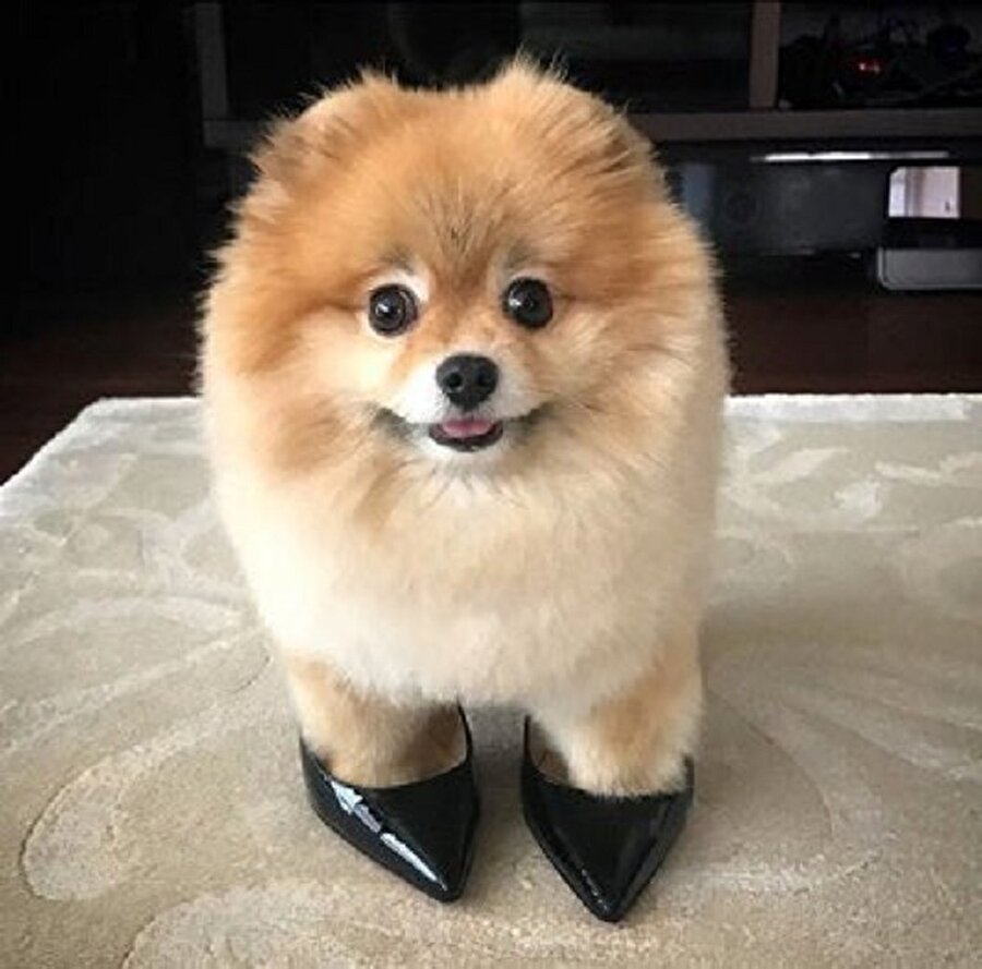 Annemin topuklularıyla evde defile yapmaca