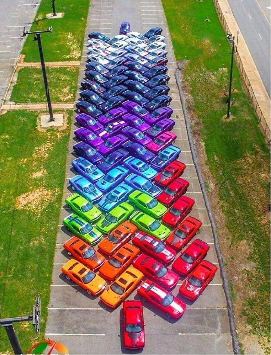 Ne güzel buluşma ama