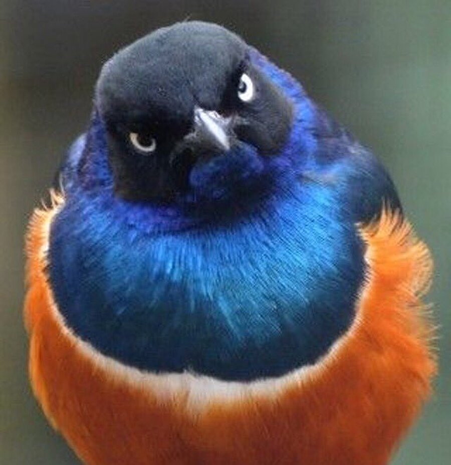 Misafirlerin yanında yanlış cümle kurunca annem