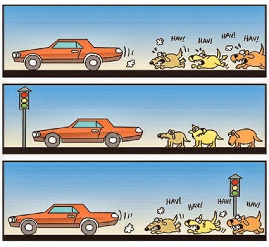 Köpek de olsan kurallara uyacaksın