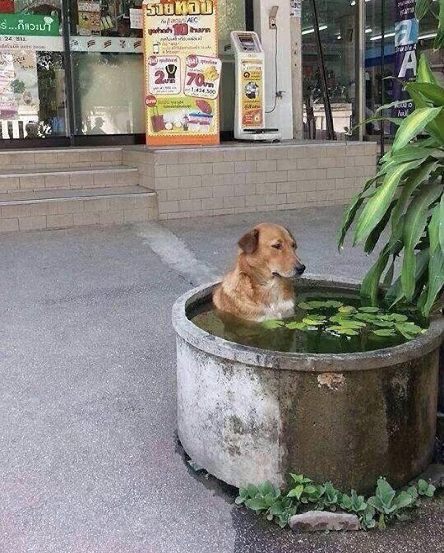 Kışın geldiğini düşündükçe böyle bakıyorum etrafa