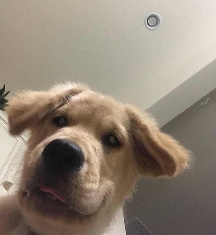 Aniden ön kamera açılınca ben