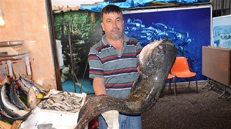 Karabalık kilosu 25 liradan 500 liraya alıcı buldu.