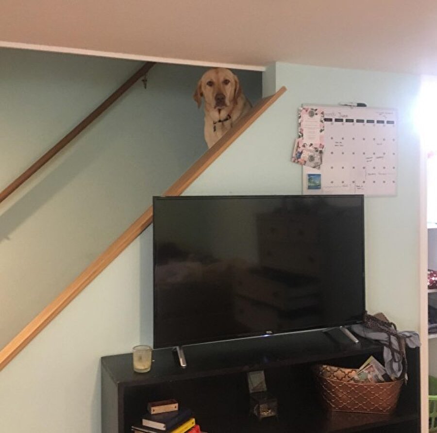 Nasıl ya dışarı bensiz mi çıkıyosun yani