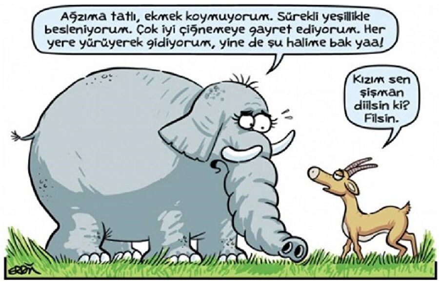 Ben de fil olduğumu düşünüyorum