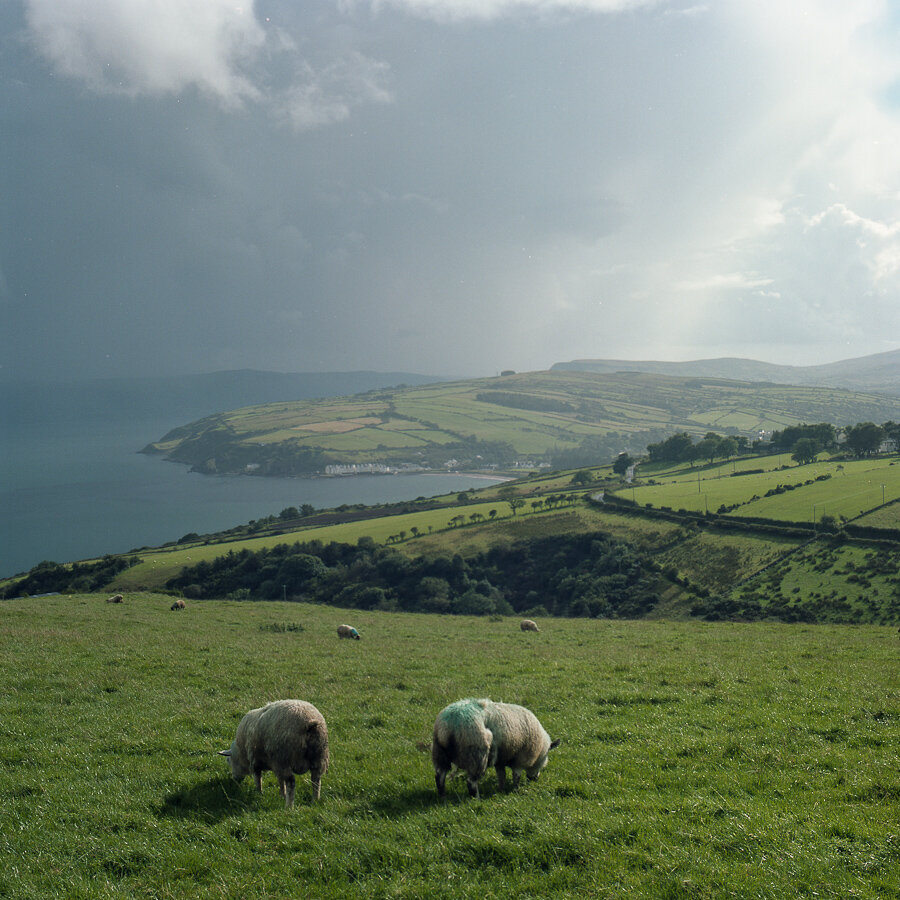 Kuzey İrlanda, İrlanda