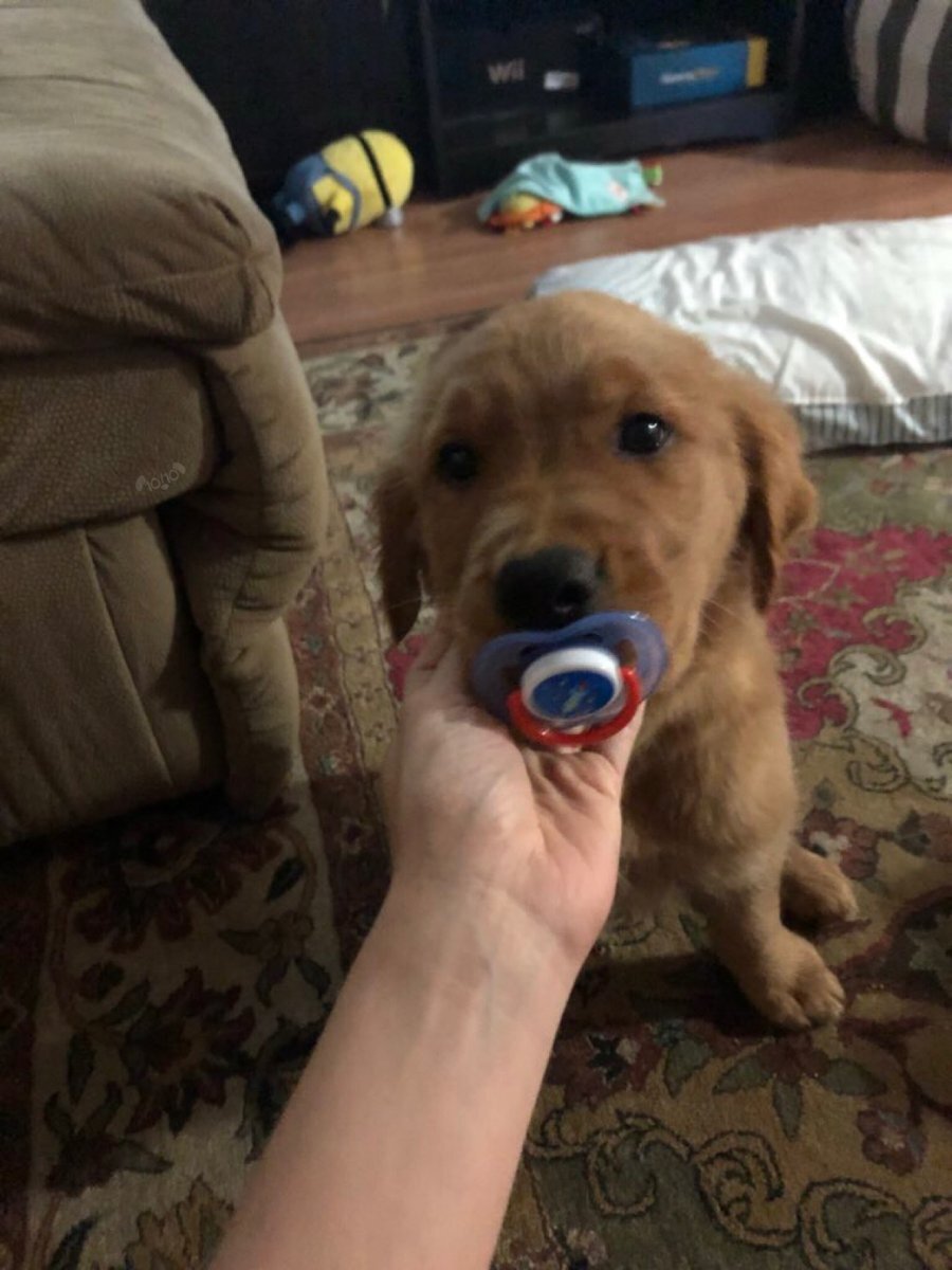 Biberonda süt istiyorum ben emzik istemiyorum