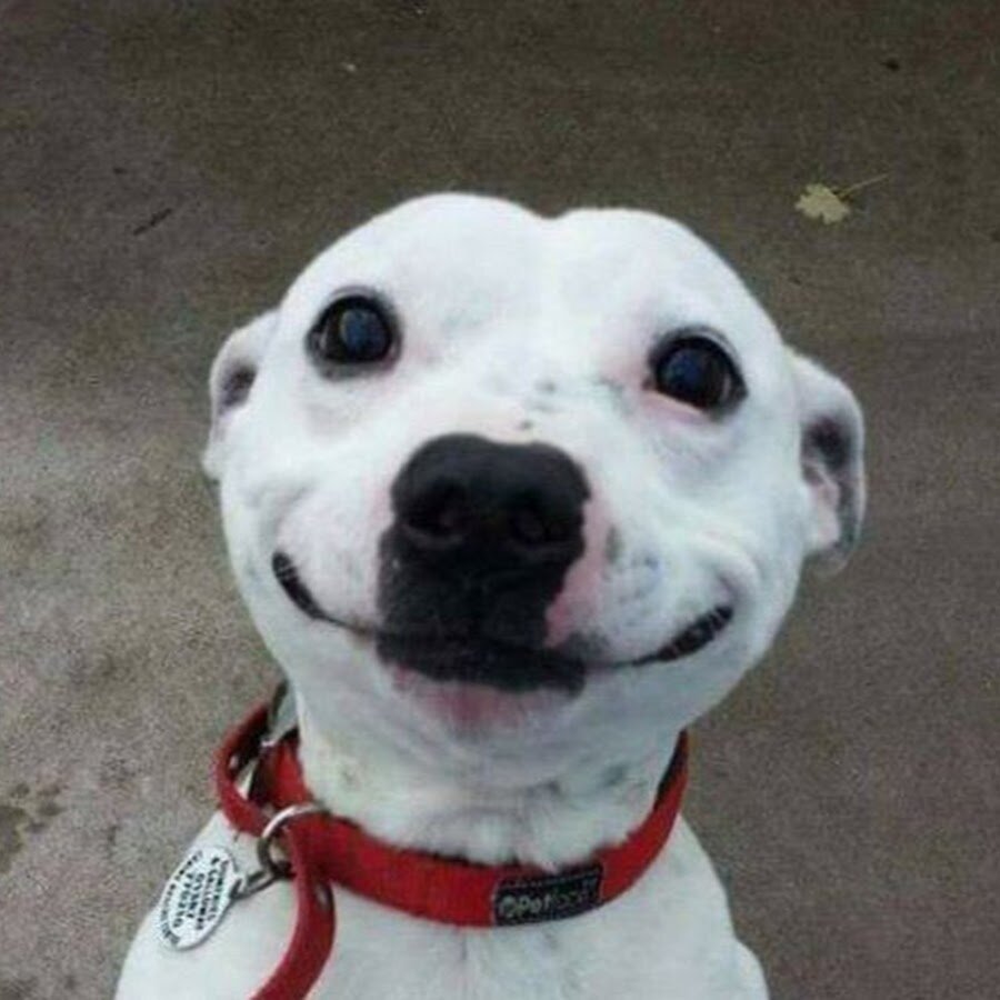 Yolda babamın arkadaşıyla karşılaştım