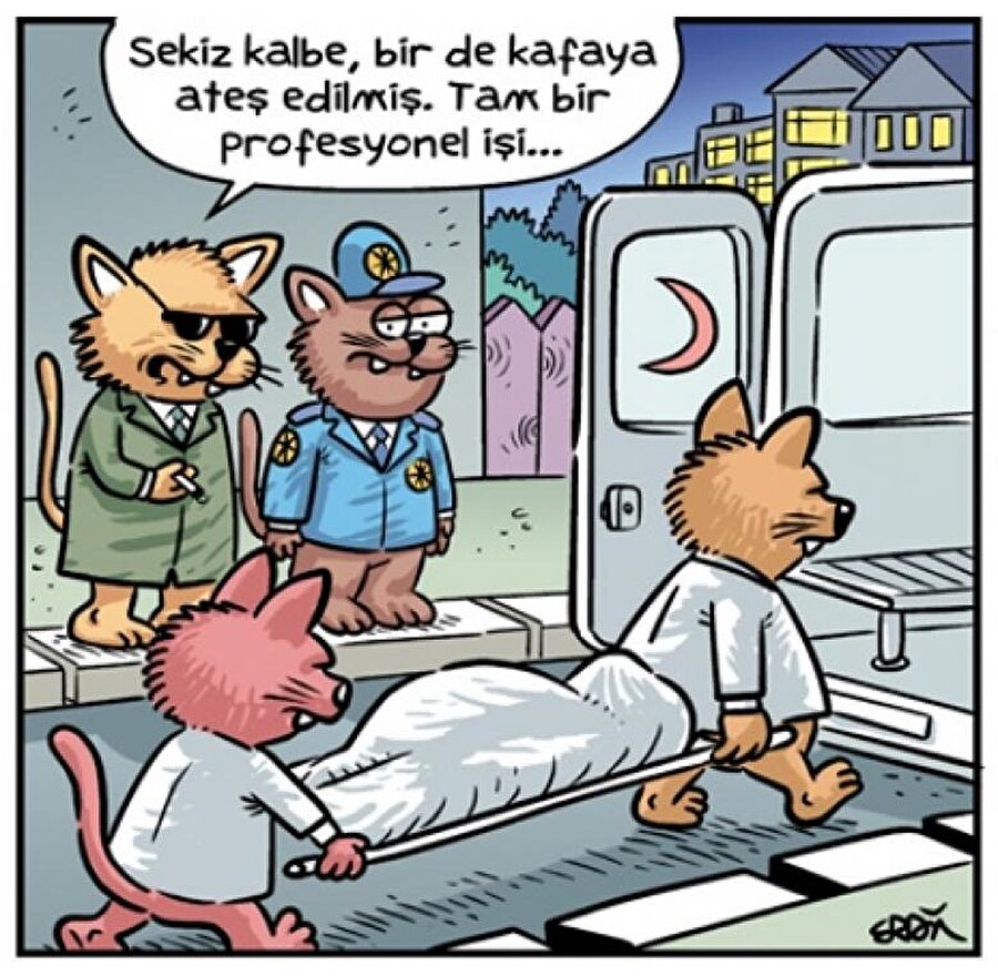 Kedi suikastı tüm mahalleyi yasa boğdu