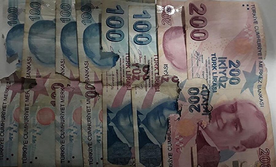 Ümmühan D.'nin yaşlılık maaşından arta kalanla biriktirip evde sakladığı bin lirayı fareler kemirdi.