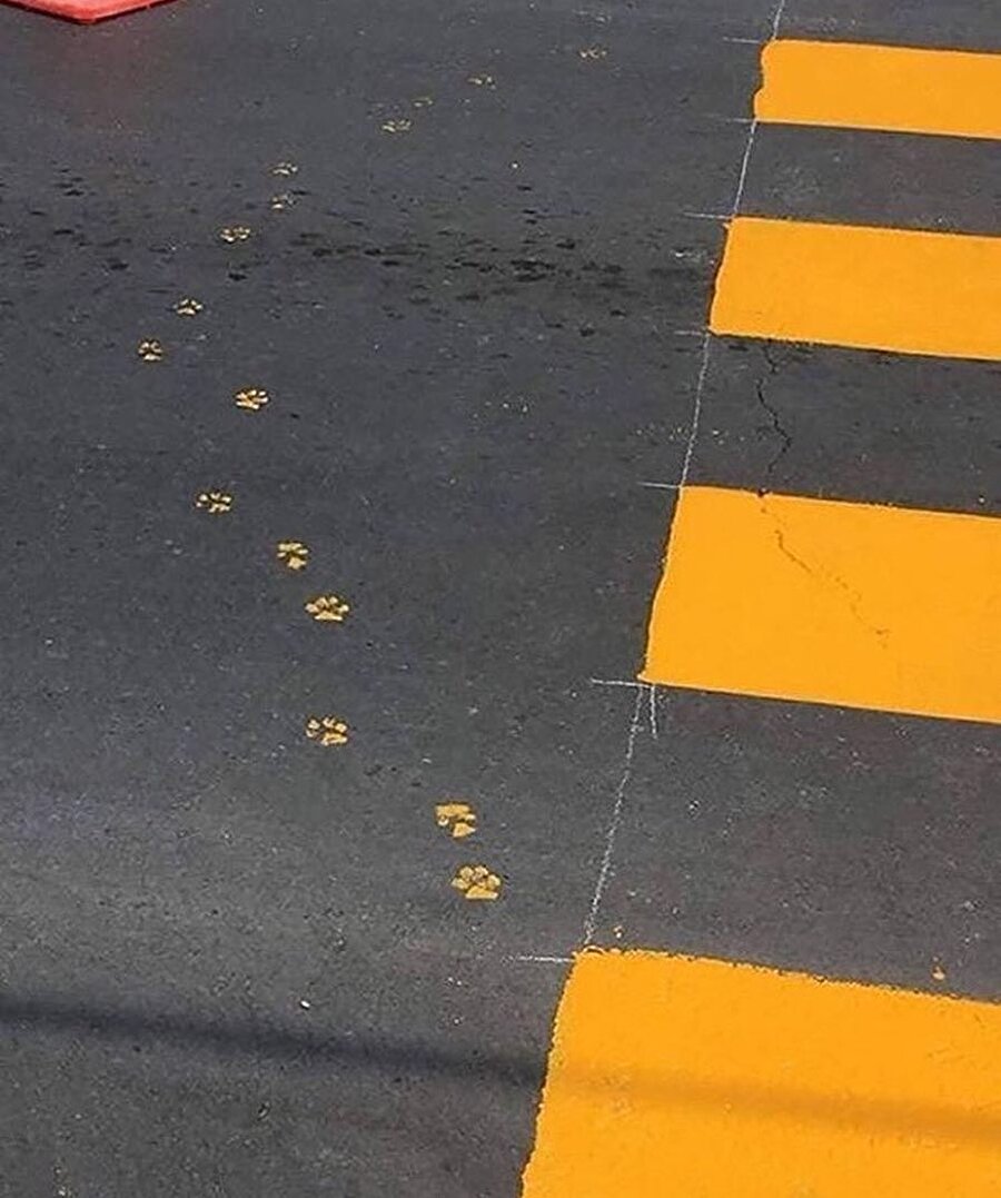 Birileri uslu durmamış anlaşılan