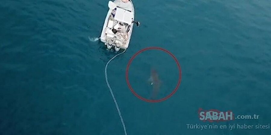 Kimliği açıklanmayan küçük kızın bacağından ağır yaralandığını kaydetti.