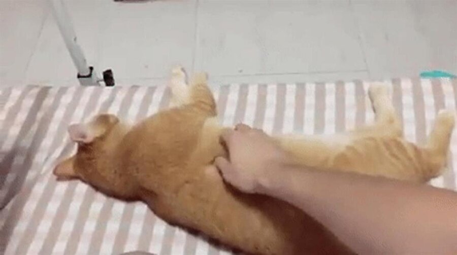 Anne n'olur 5 dakika daha