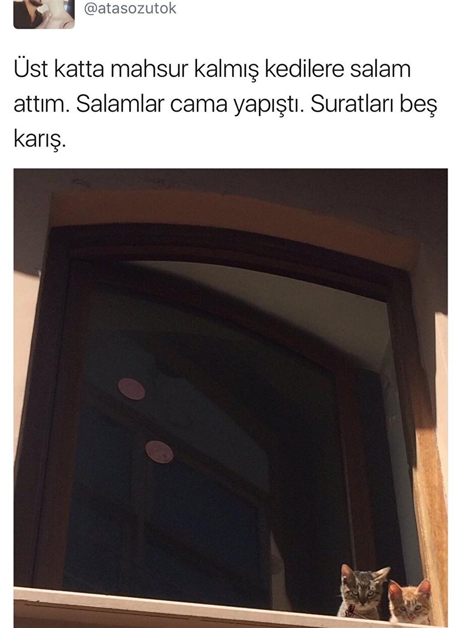 Neler diyorlar içlerinden kim bilir
