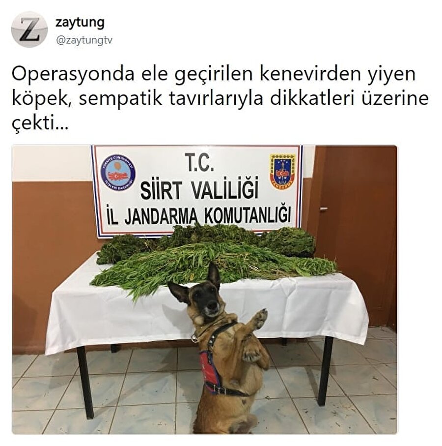 O zaman dans!