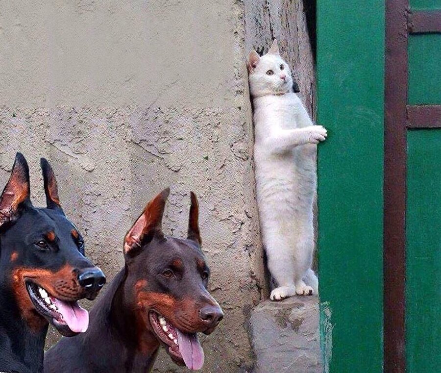 Nolur sola dönmesinler nolur sola dönmesinler nolur sola dönmesinler