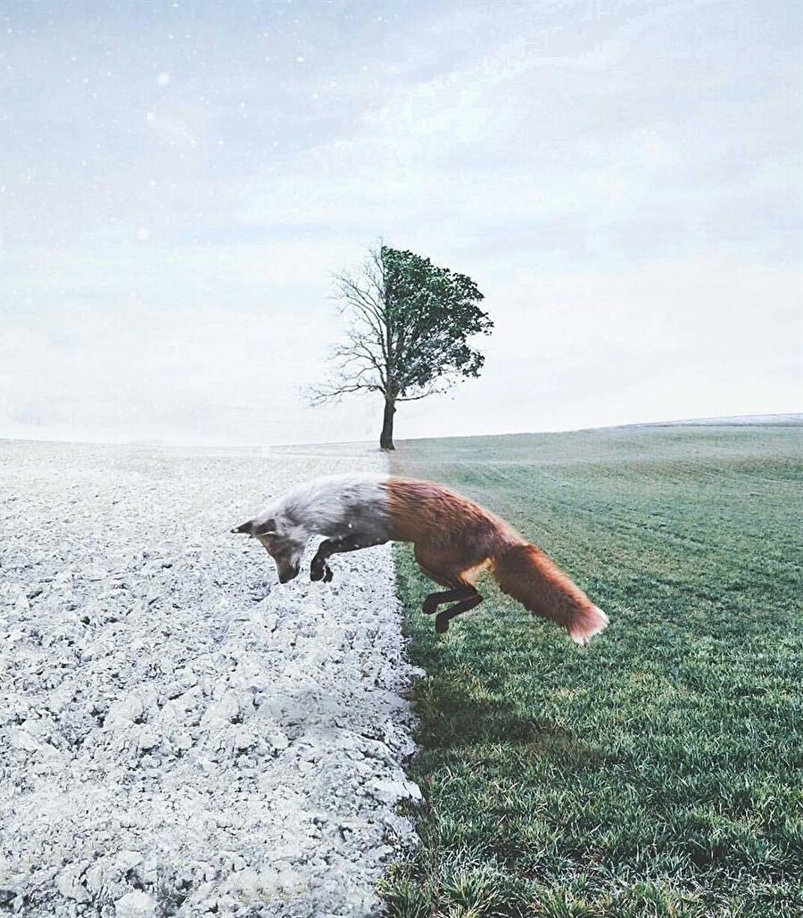 19 yaşındaki Malezyalı sanatçı Ronald Ong'un manipülasyon çalışması