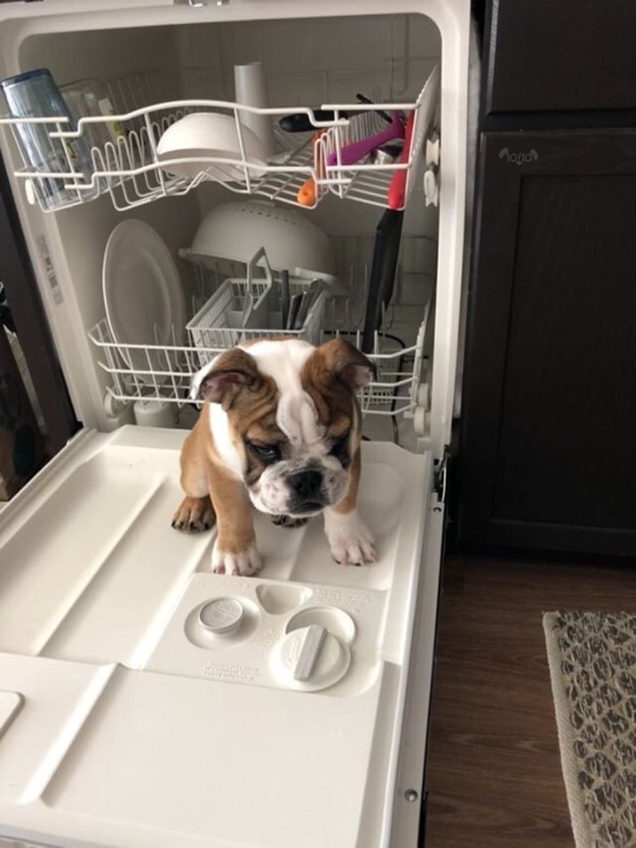 Annem bulaşık işlerini bana bıraktı