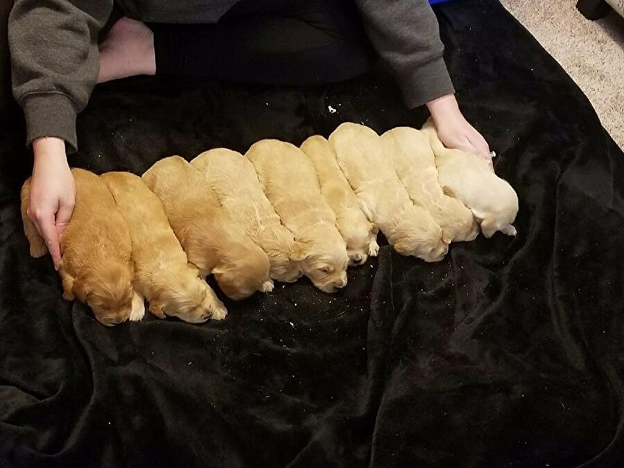 Annenin kartuşu bitiyo bi uyarsın