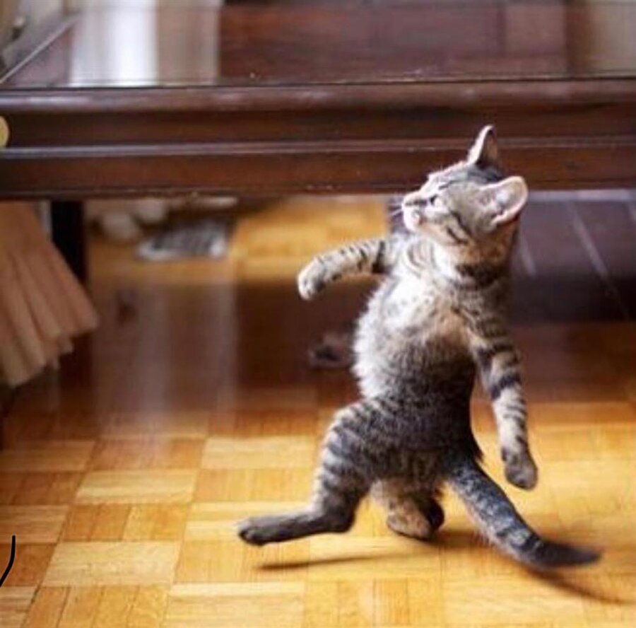 Artık bu çöplüğün ağası benim oğlum