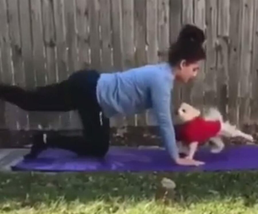 Yoga arkadaşı​