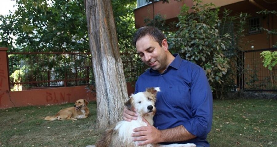 ‘Şuri’ ismi verilen felçli köpek sağlığına kavuştu.