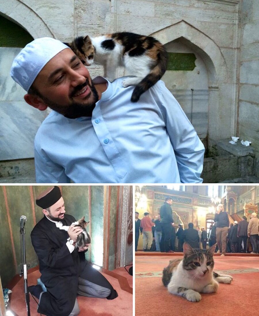 Sokak kedileri üşümesin diye onlara caminin kapılarını açan Üsküdar Aziz Mahmud Hüdai Camii imamı Mustafa Efe

                                    
                                