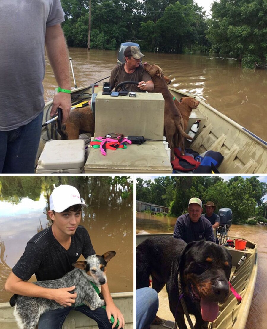 Teksas'da sel felaketinden dolayı terk edilen kasabadaki 30 küsür köpeği kurtaran baba ve oğlu

                                    
                                