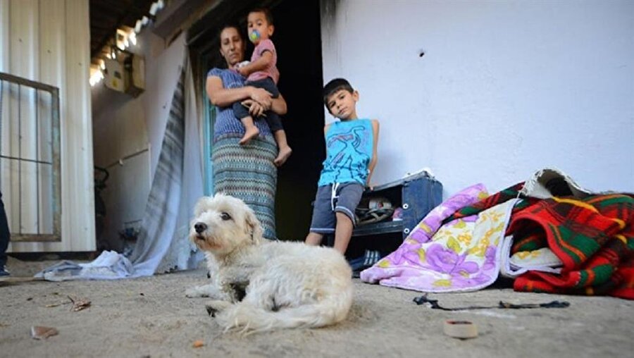 Cesur köpek bir aileyi alevlerden kurtardı.