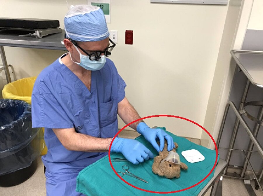 Dr. Daniel McNeely oyuncak ayıyı ameliyat ederken