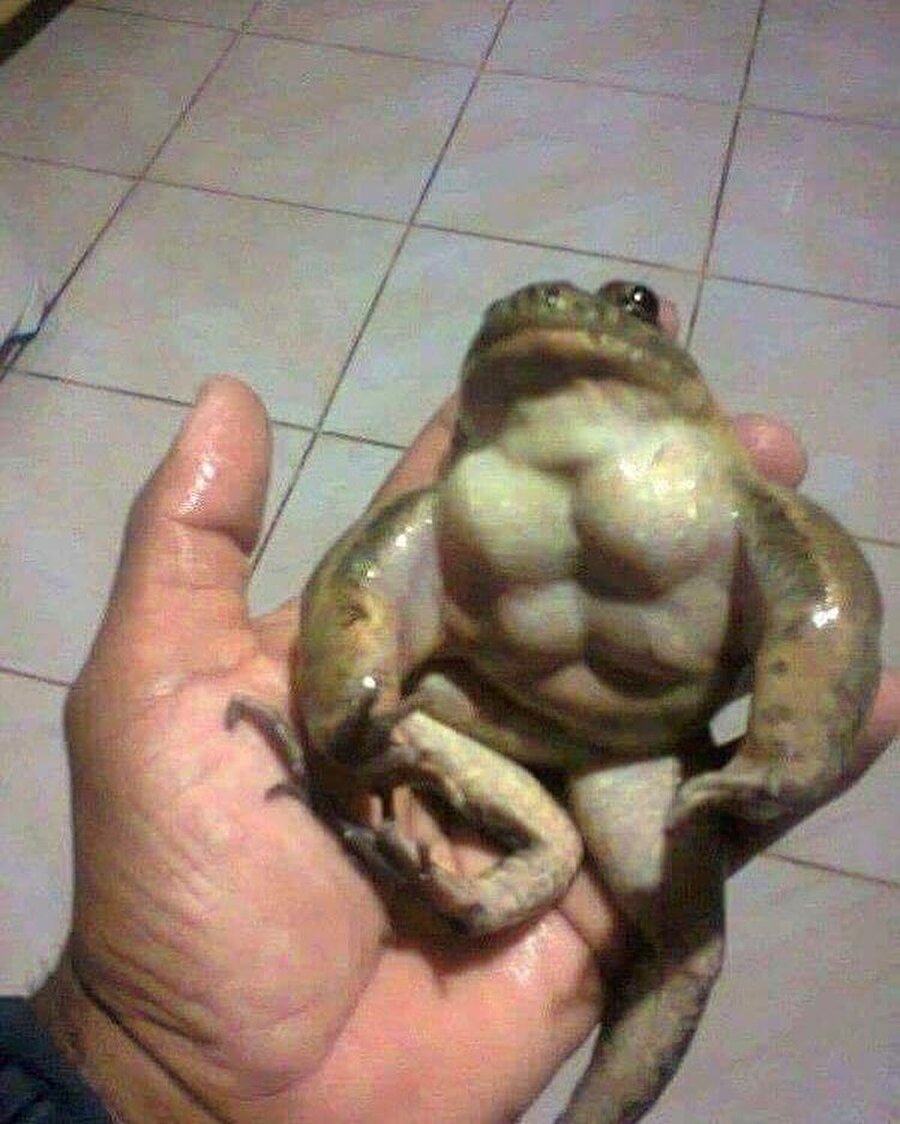 Birader şu protein tozunu ver bakiiim. Bastım 200'ü gene geldim