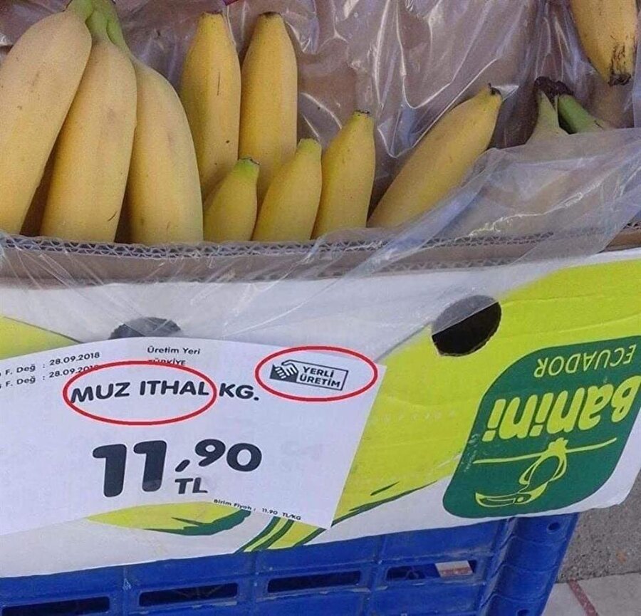 İki şık arasında kalınca ben