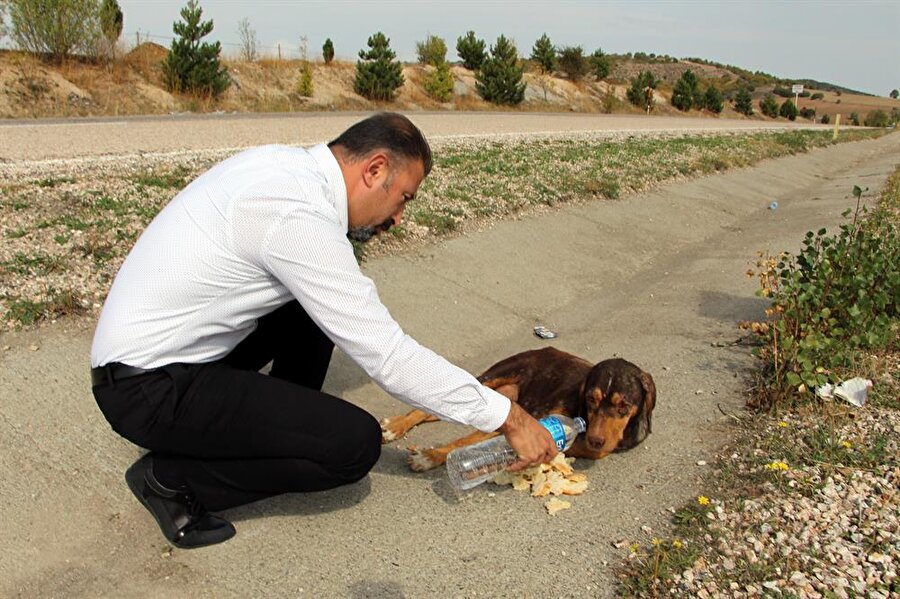 Sedat Sevil, önüne ekmek parçaları koyduğu köpeğe, şişeyle su içirmeye çalıştı.