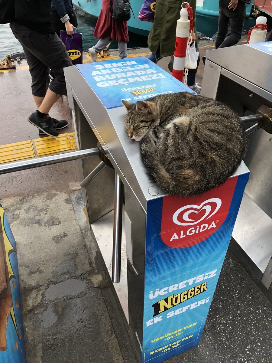 Aktarma yapacaksın şekerleme değil yalnız