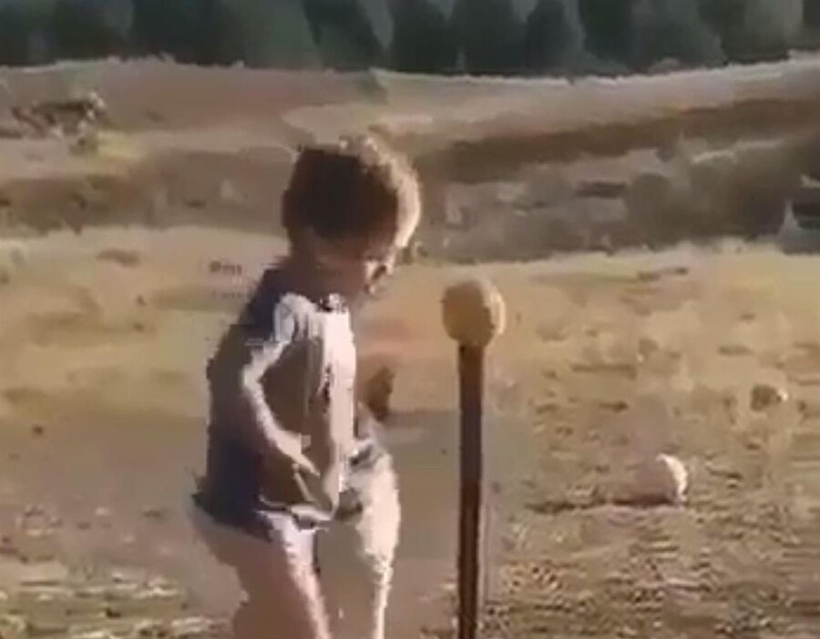 ​Herkesin böyle bir oyun arkadaşını ihtiyacı olabilir