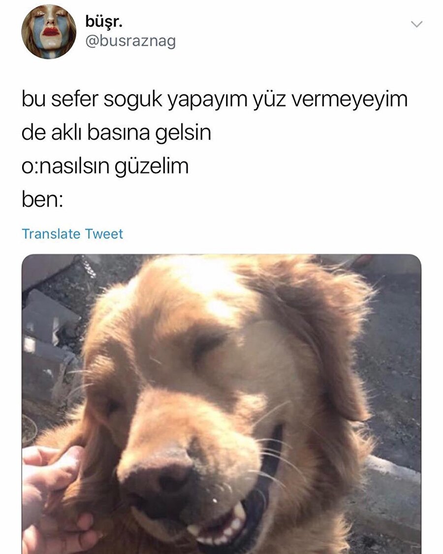 Dayanamadık yine