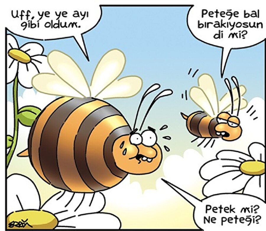 Vay ballı arı seni