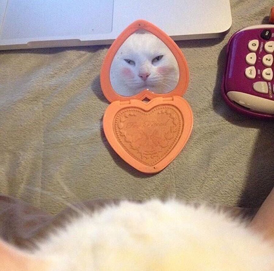 Allığı fazla kaçırmışım yine