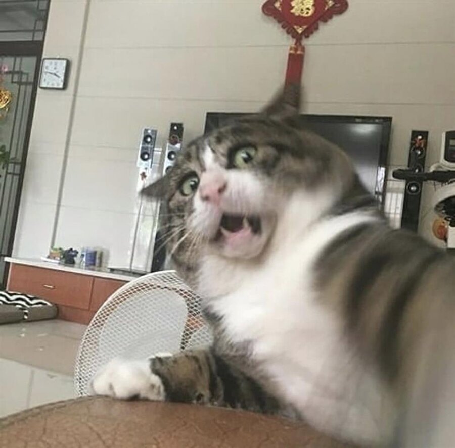 Son alarmı ertelemek yerine direkt kapatmışım