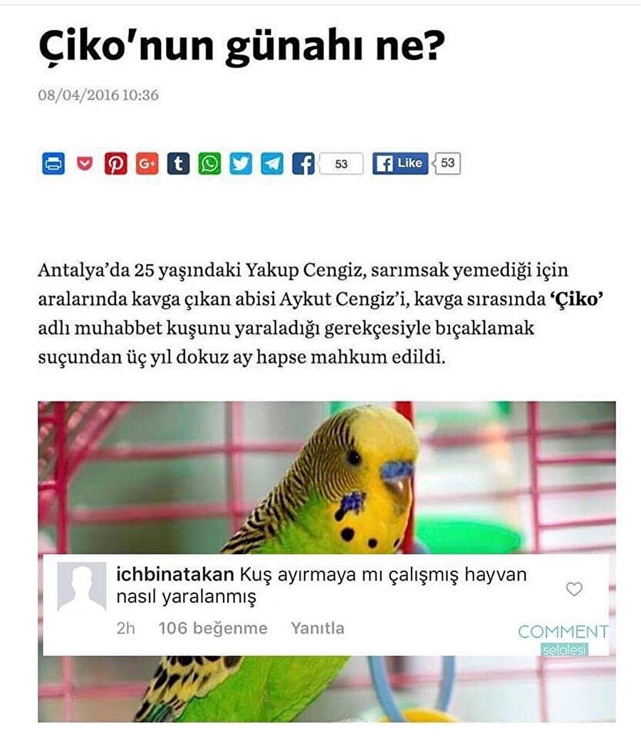 Ayırmaya mı çalışmış?