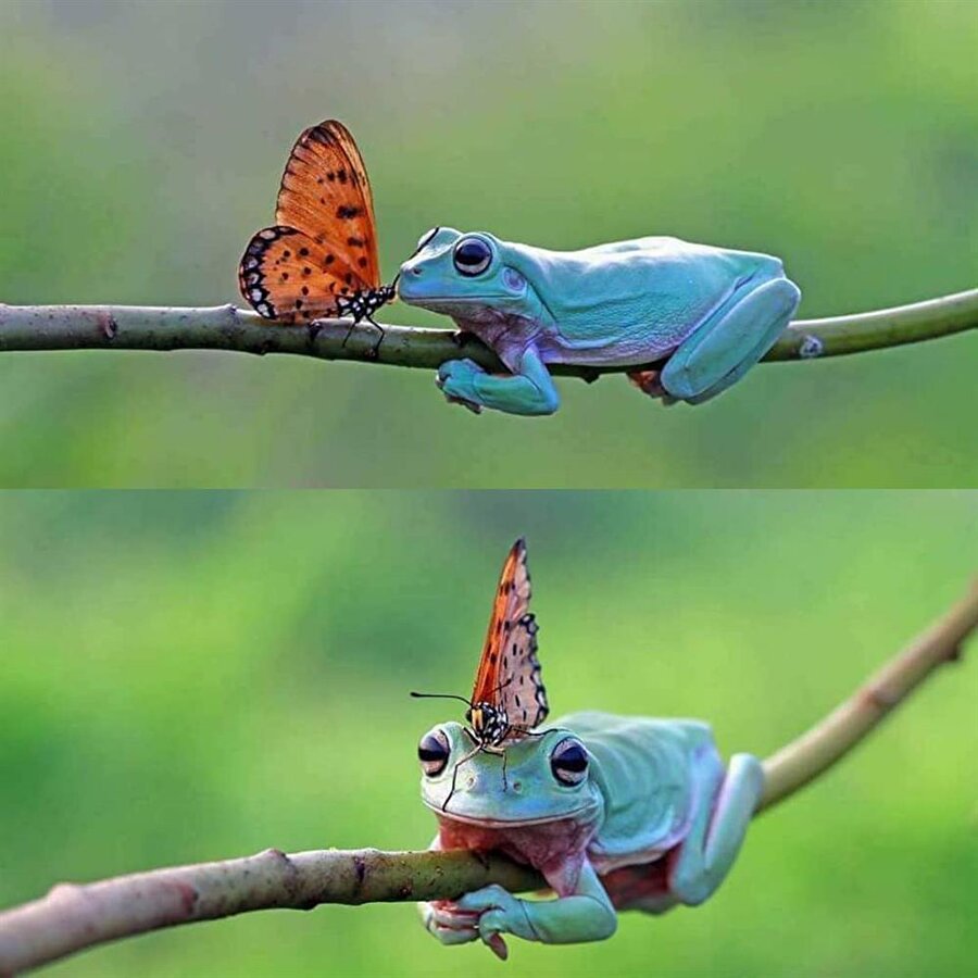 Gel paşam başımın üstünde yerin var zaten 1 gün kalacaksın