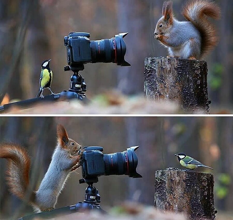 Geç hadi ben de seni çekeyim