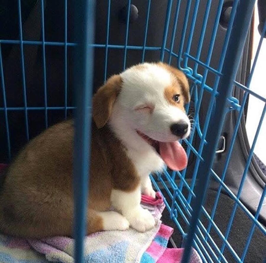 Şş çaktırma kaçış planı hazır