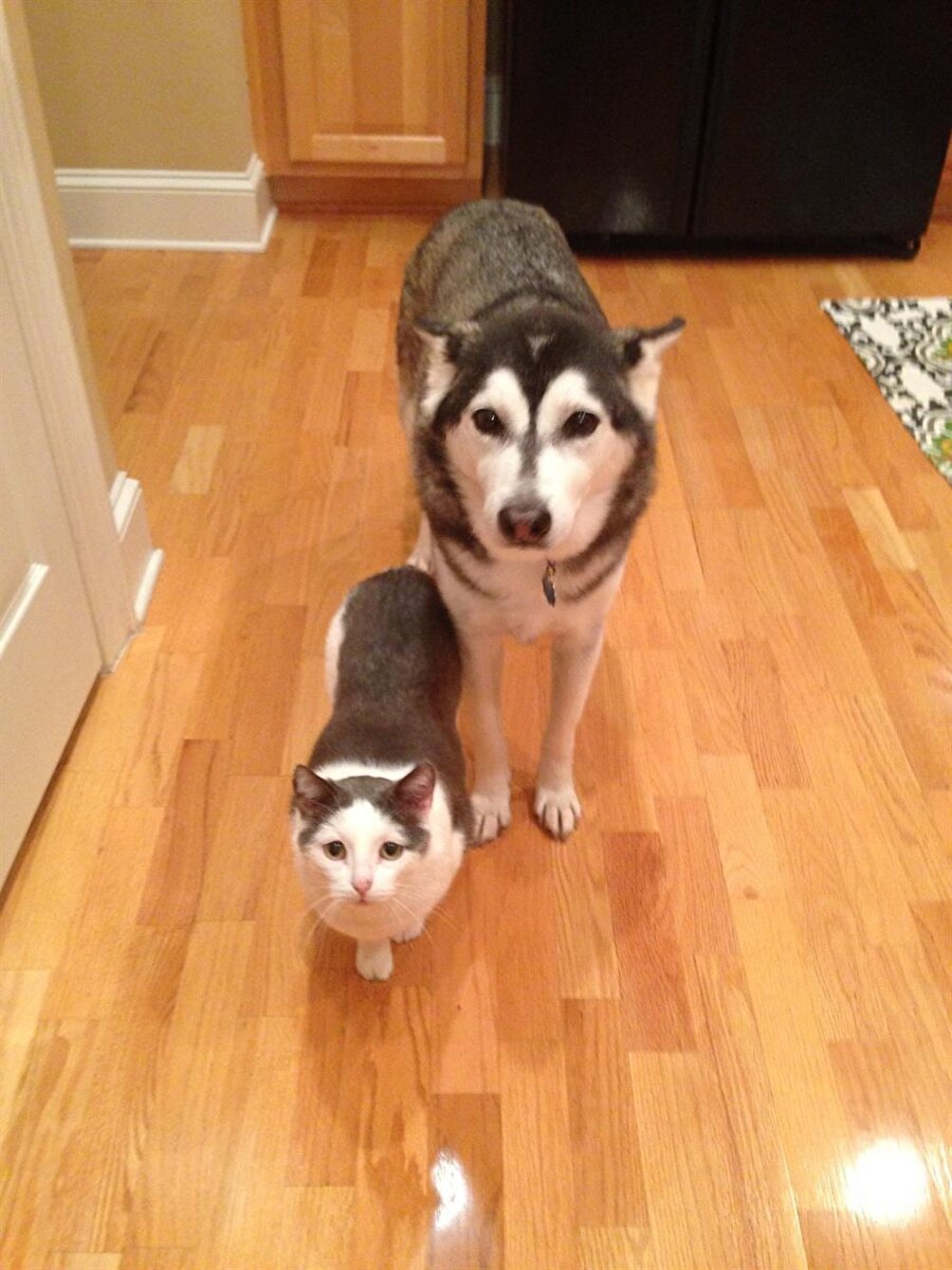 Anne baba ayrı kardeşiz biz