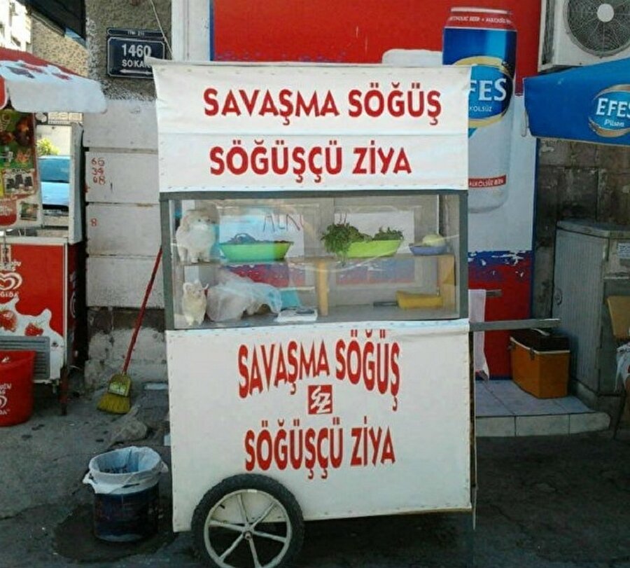 ​Daha iyi slogan görmedim